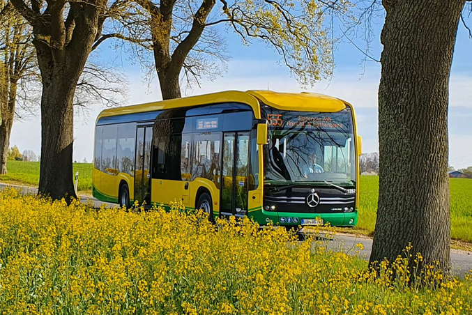 Un autobus VLP giallo guida su una strada tra campi di colza gialli